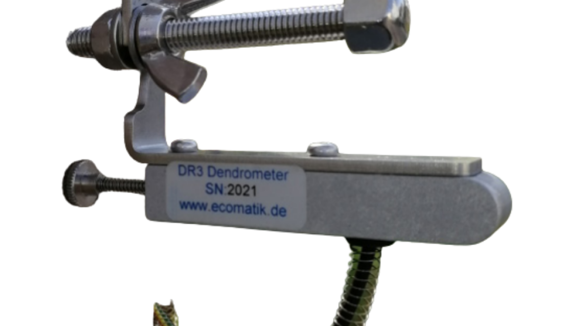 Dendrometer